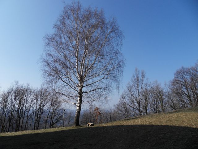 19. 3. 2012 - foto