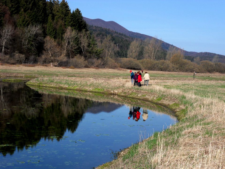 2. 4. 2012 - foto povečava