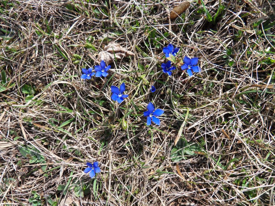 2. 4. 2012 - foto povečava