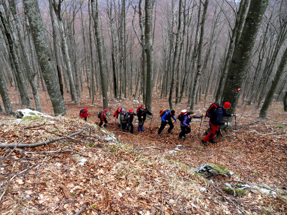 14. 4. 2012 - foto povečava