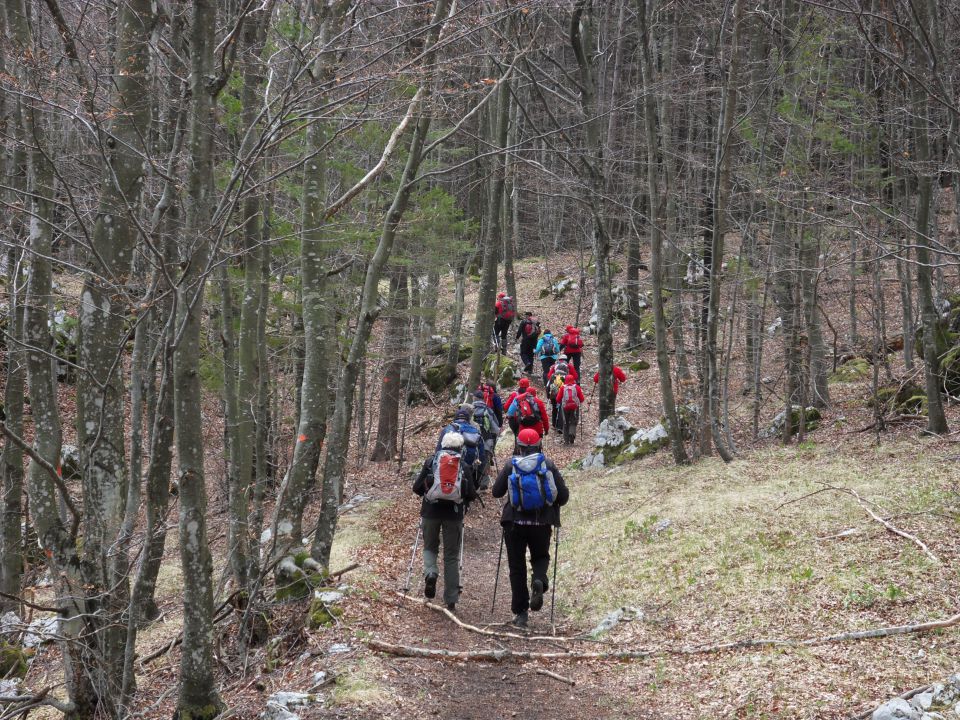 14. 4. 2012 - foto povečava