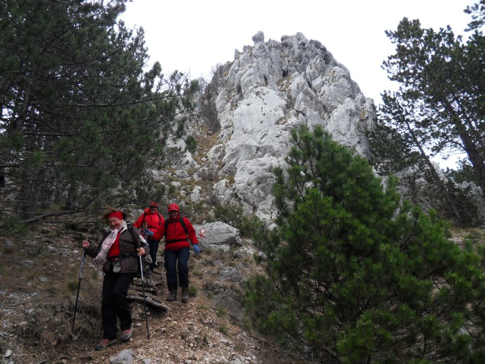 14. 4. 2012 - foto povečava