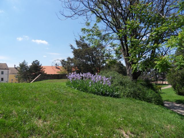 5. in 6. 5. 2012 - foto