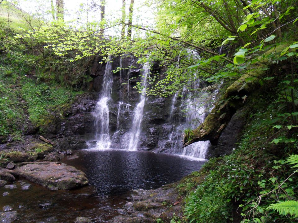 19. 5. 2012 - foto povečava