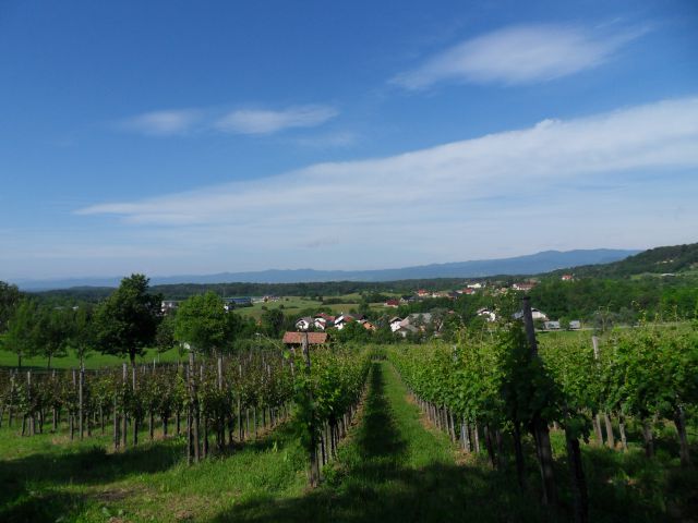 4. 6. 2012 - foto