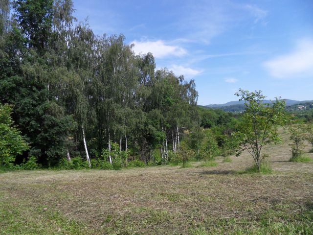 4. 6. 2012 - foto