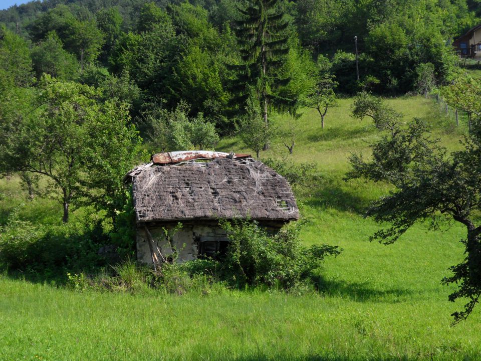 18. 6. 2012 - foto povečava