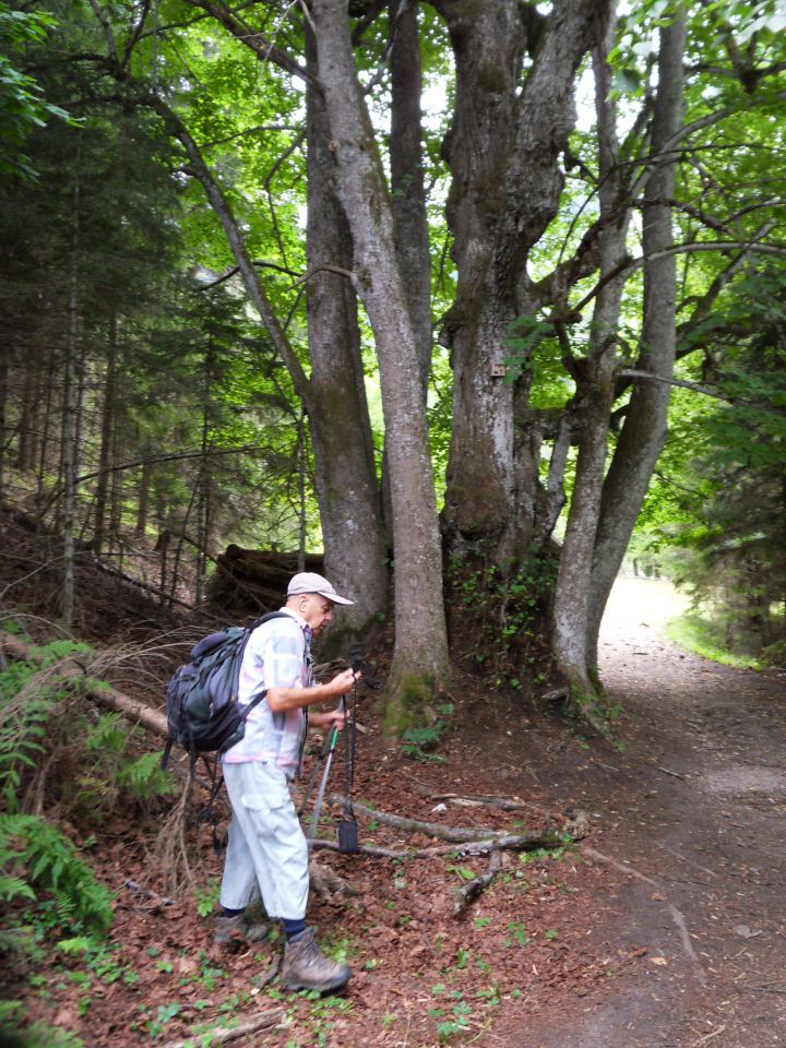 7. 8. 2012 - foto povečava