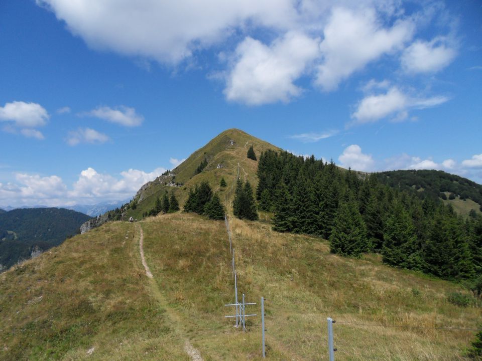 13. 8. 2012 - foto povečava