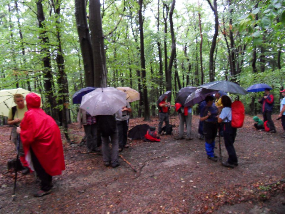 1. 9. 2012 - foto povečava