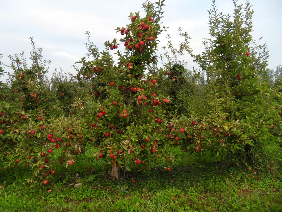 12. 9. 2012 - foto povečava