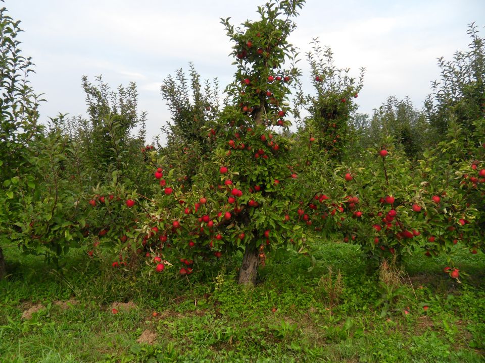 12. 9. 2012 - foto povečava