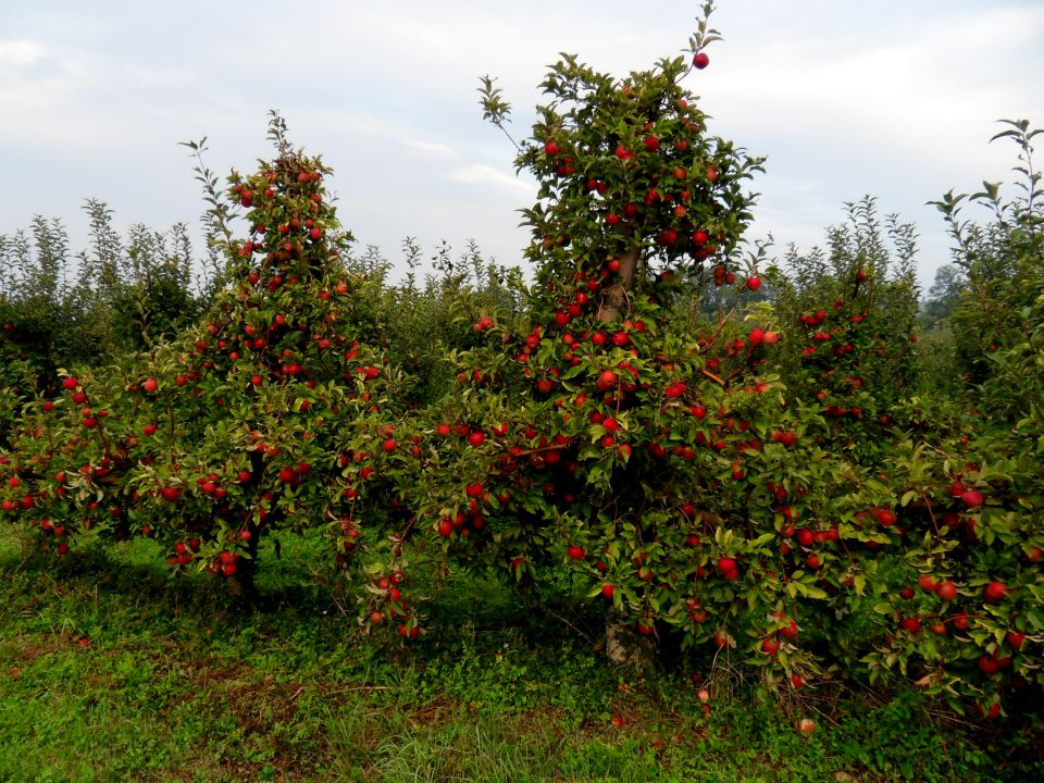 12. 9. 2012 - foto povečava