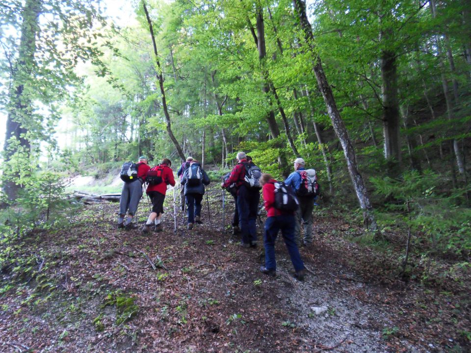 17. 9. 2012 - foto povečava