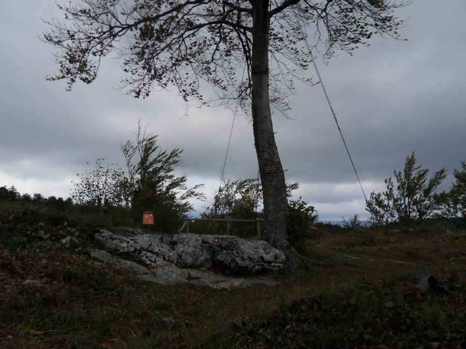 24. 9. 2012 - foto povečava