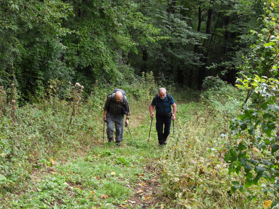 1. 10. 2012 - foto povečava