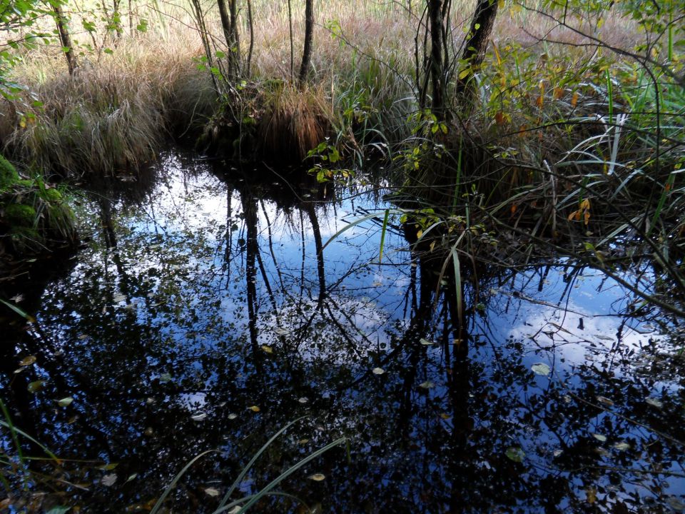 8. 10. 2012 - foto povečava