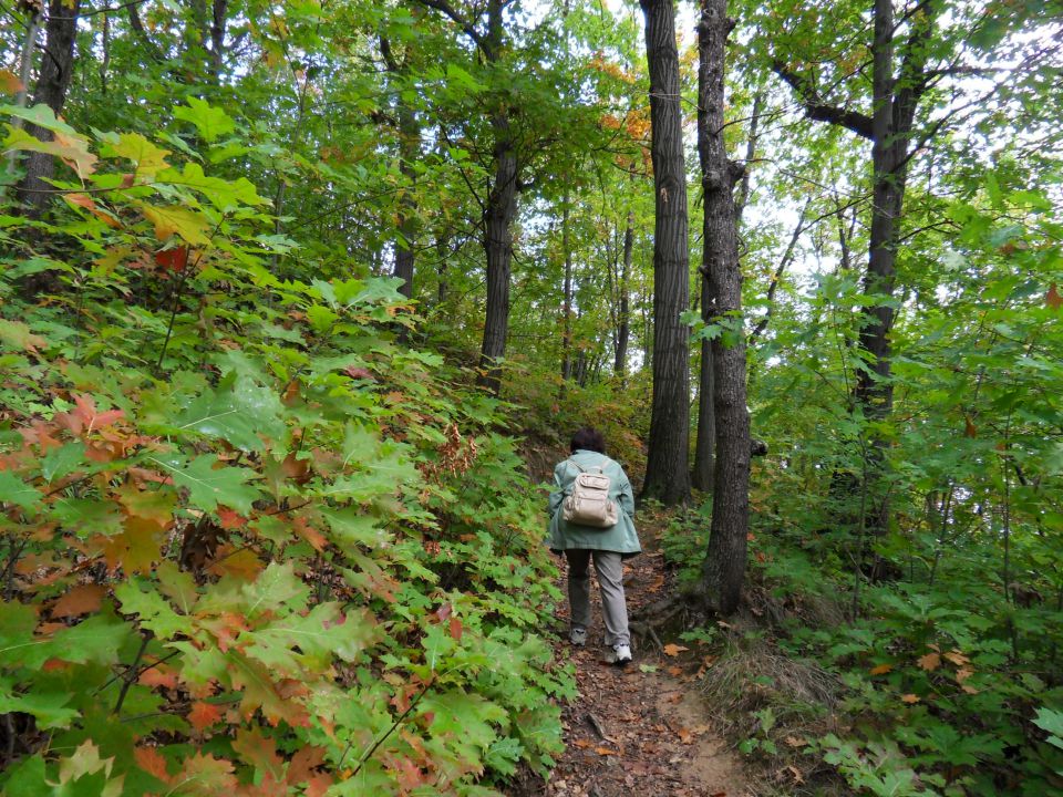 15. 10. 2012 - foto povečava