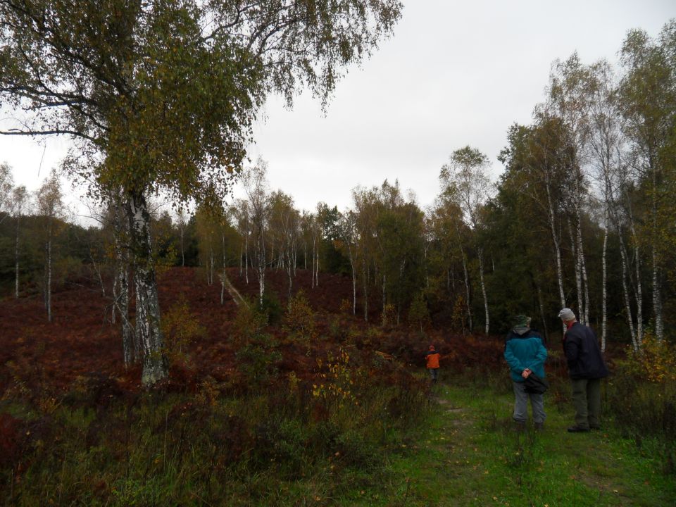 16. 10. 2012 - foto povečava