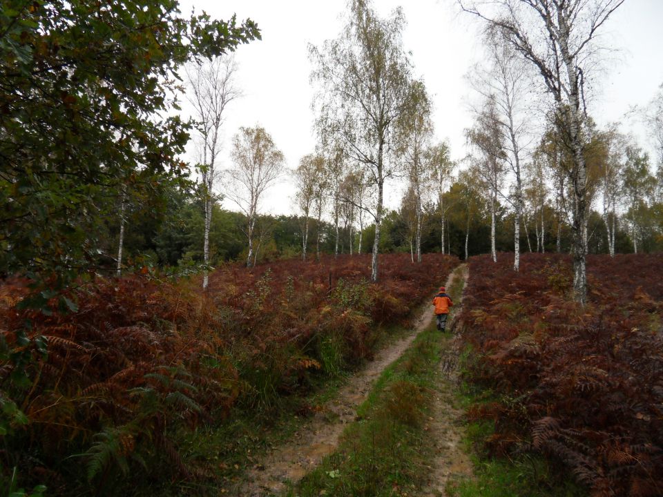 16. 10. 2012 - foto povečava