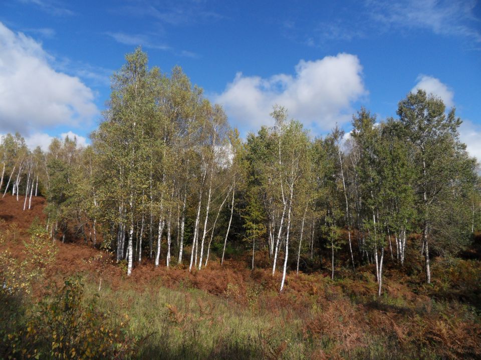 16. 10. 2012 - foto povečava