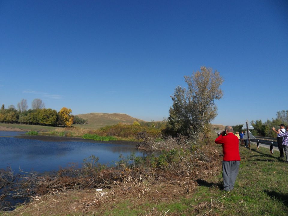 20. in 21. 10. 2012 - foto povečava