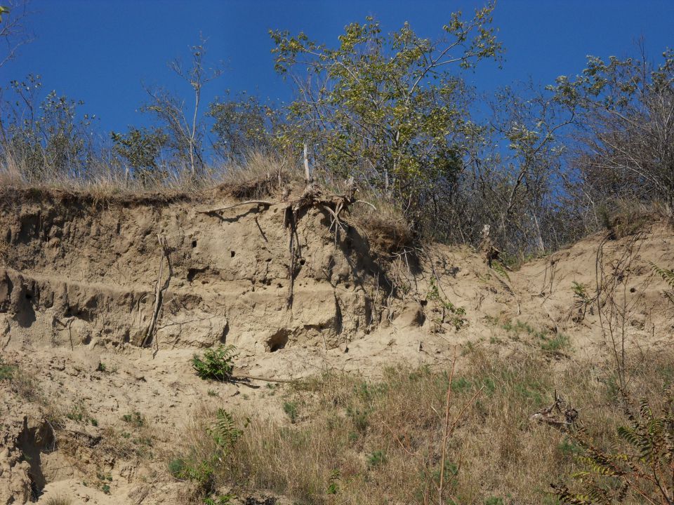 20. in 21. 10. 2012 - foto povečava