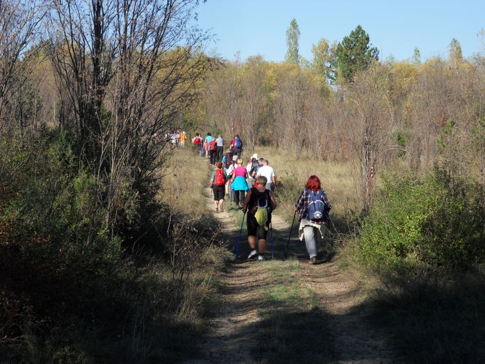 20. in 21. 10. 2012 - foto povečava