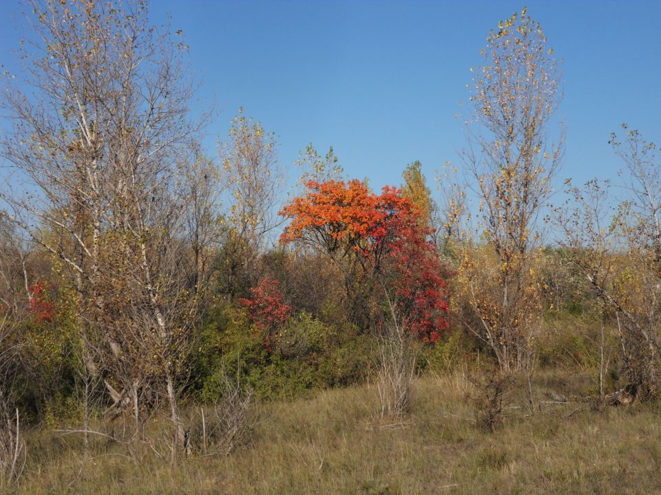 20. in 21. 10. 2012 - foto povečava