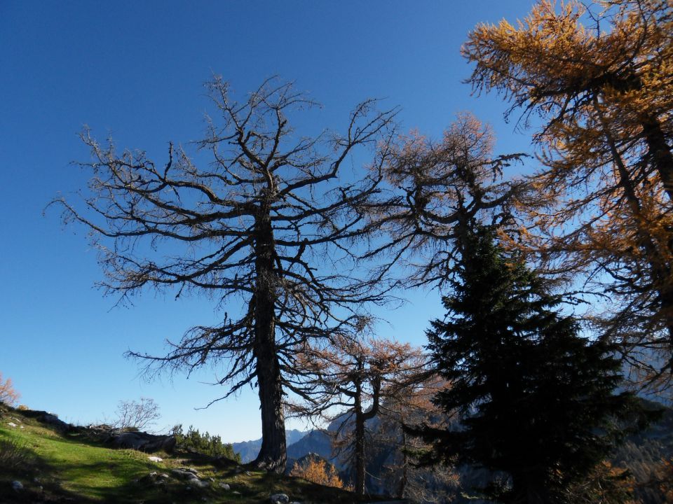 22. 10. 2012 - foto povečava