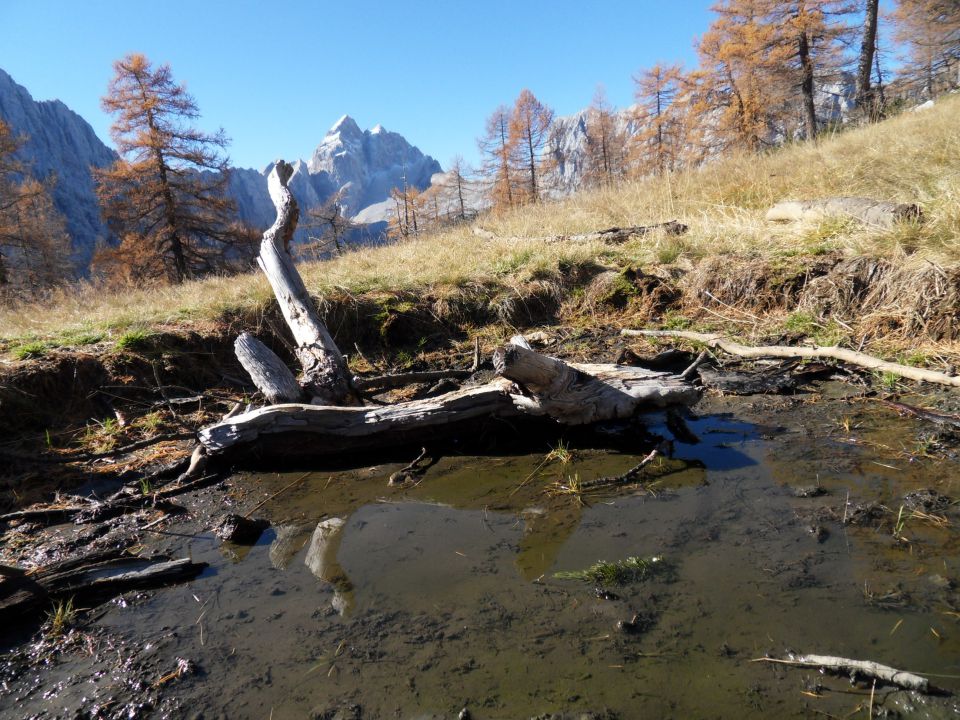 22. 10. 2012 - foto povečava