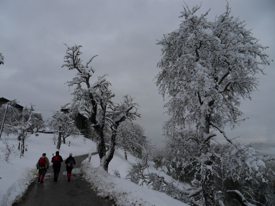 29. 10. 2012 - foto povečava