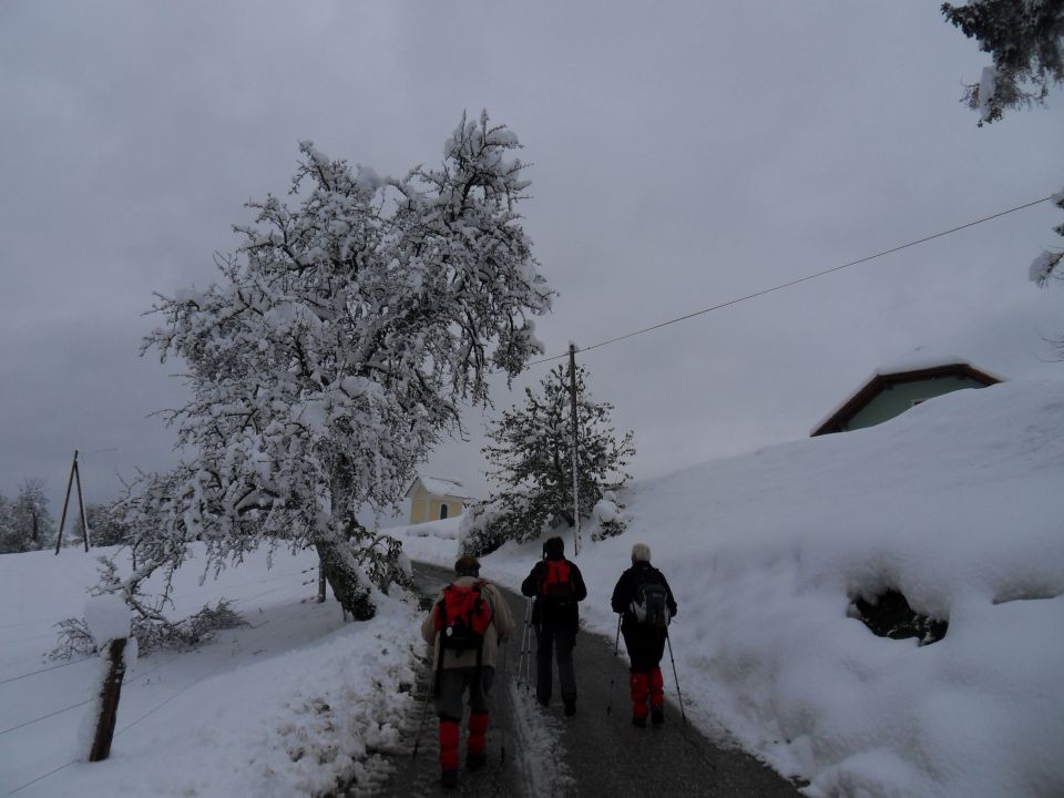 29. 10. 2012 - foto povečava