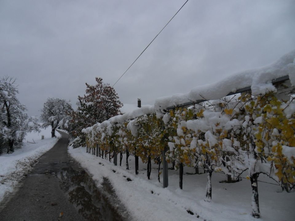 29. 10. 2012 - foto povečava