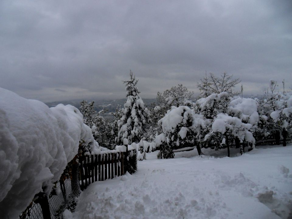 29. 10. 2012 - foto povečava