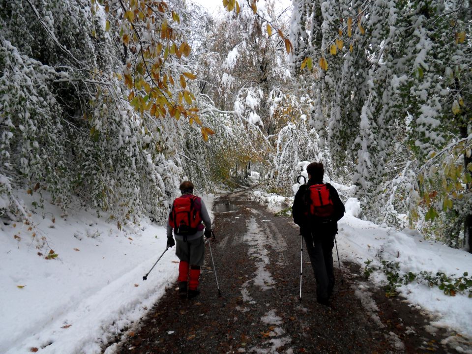 29. 10. 2012 - foto povečava