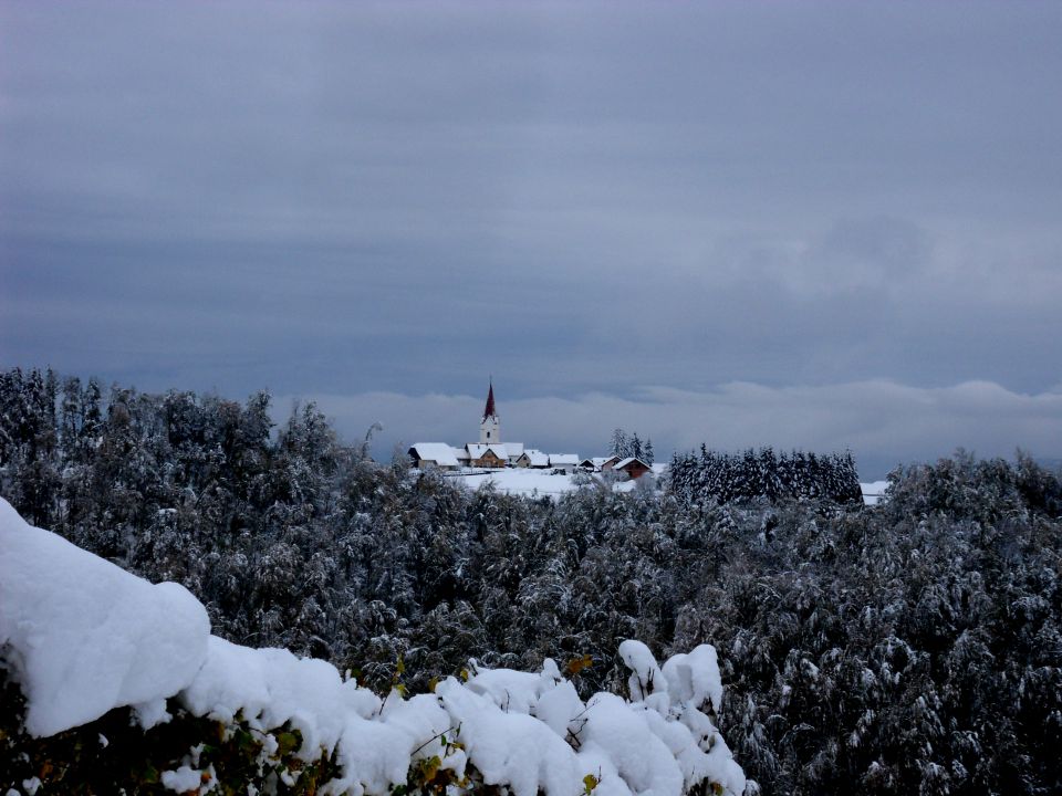 29. 10. 2012 - foto povečava