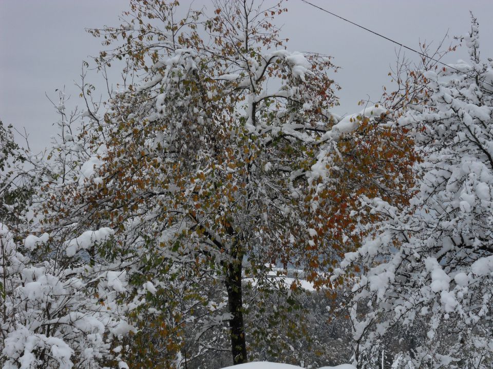 29. 10. 2012 - foto povečava