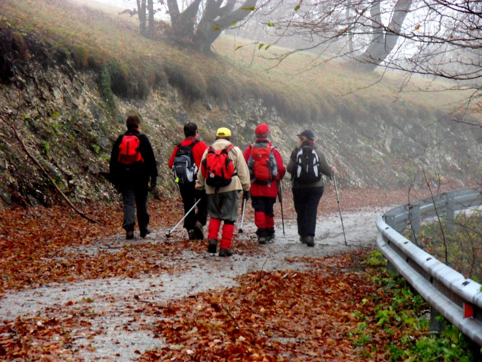 5. 11. 2012 - foto povečava