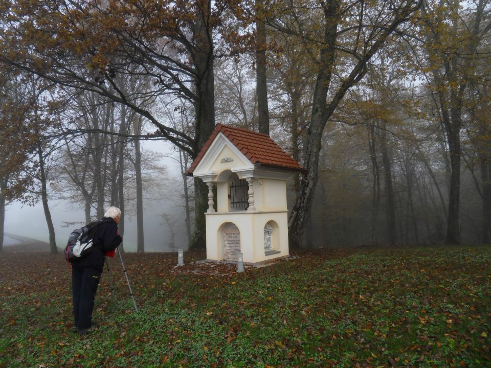 7. 11. 2012 - foto povečava