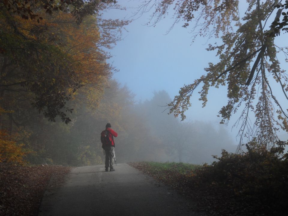 7. 11. 2012 - foto povečava