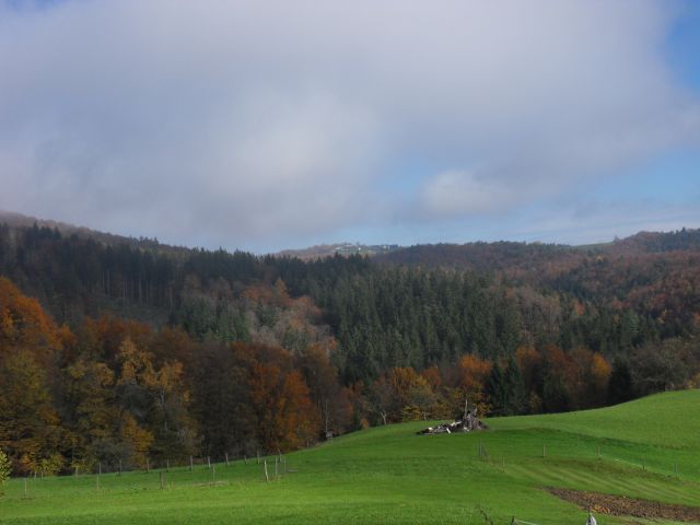 7. 11. 2012 - foto