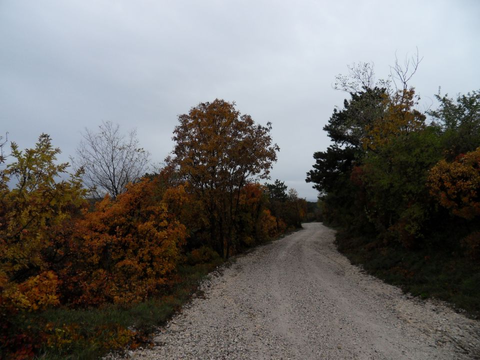 12. 11. 2012 - foto povečava