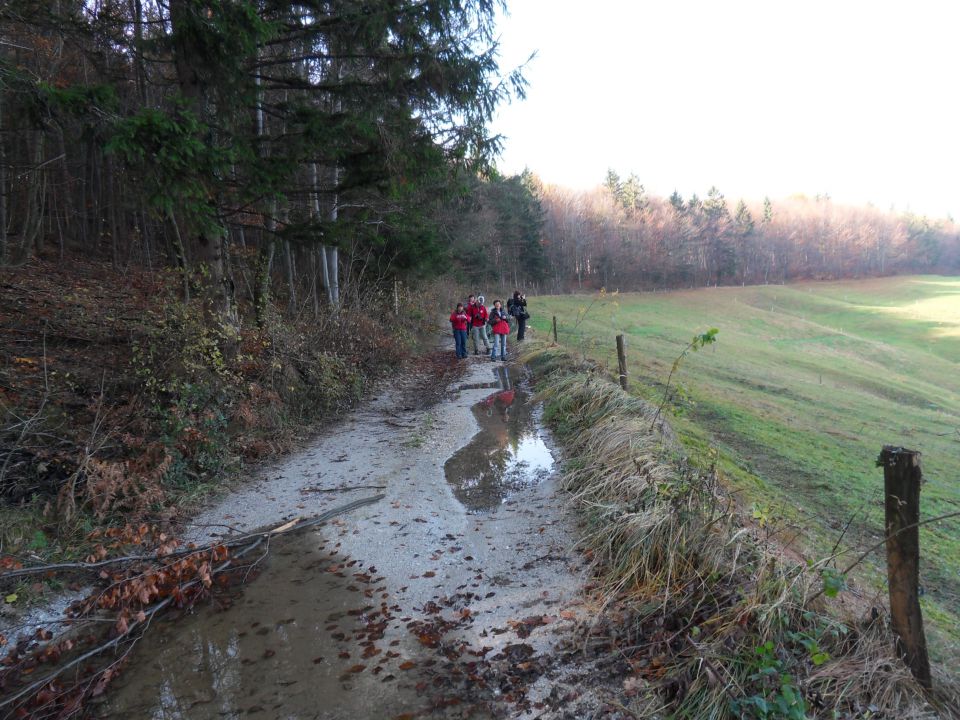 14. 11. 2012 - foto povečava