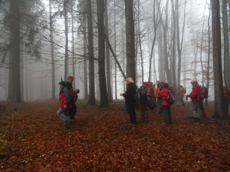 21. 11. 2012 - foto povečava