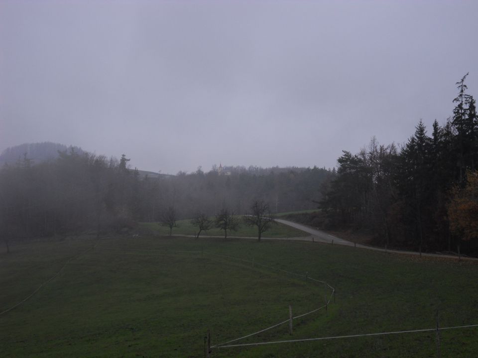 21. 11. 2012 - foto povečava