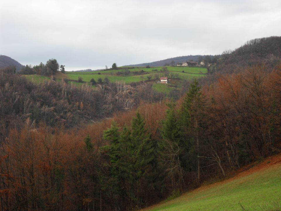 28. 11. 2012 - foto povečava