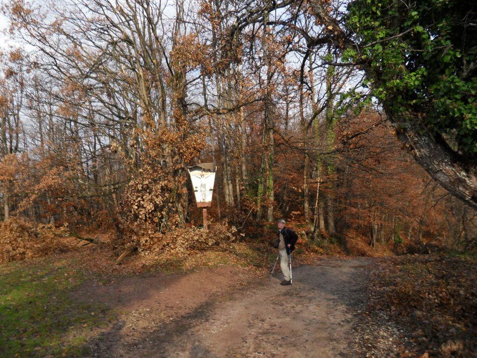 28. 11. 2012 - foto povečava