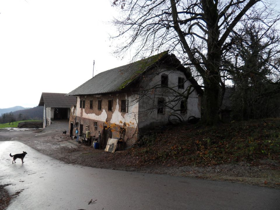 28. 11. 2012 - foto povečava