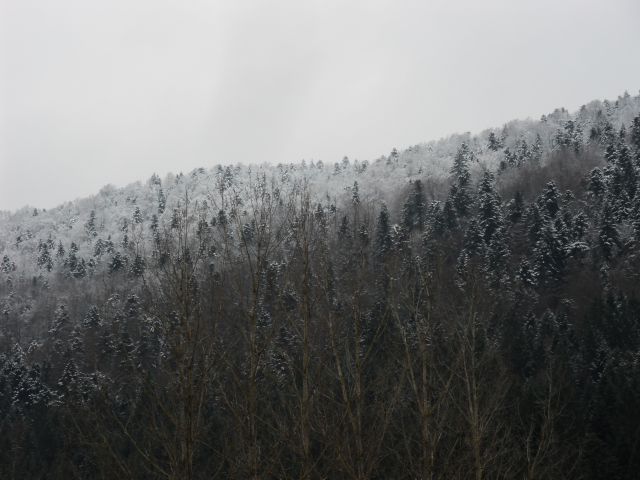 1. 12. 2012 - foto